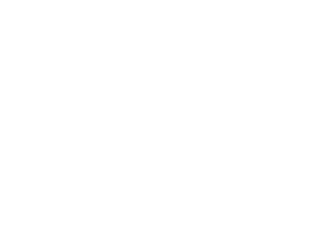syncagraphite