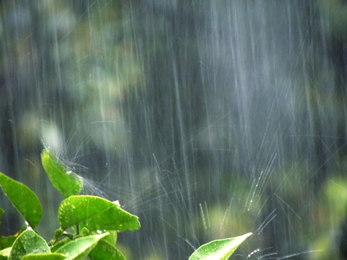 【梅雨こそチャンス？】雨の日でも差がつくゴルフ練習法